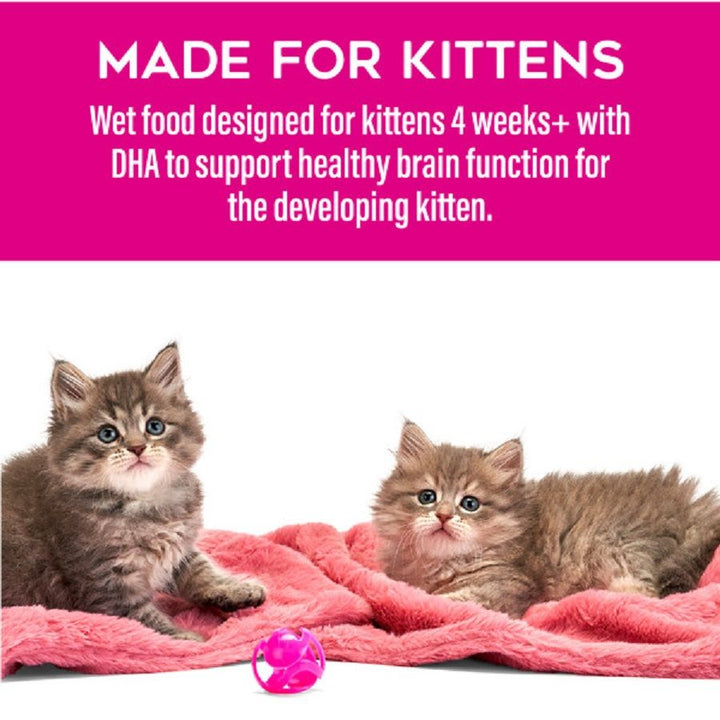 Tiki Cat Baby Pate Wet Cat Food - Chicken, Salmon & Chicken Liver