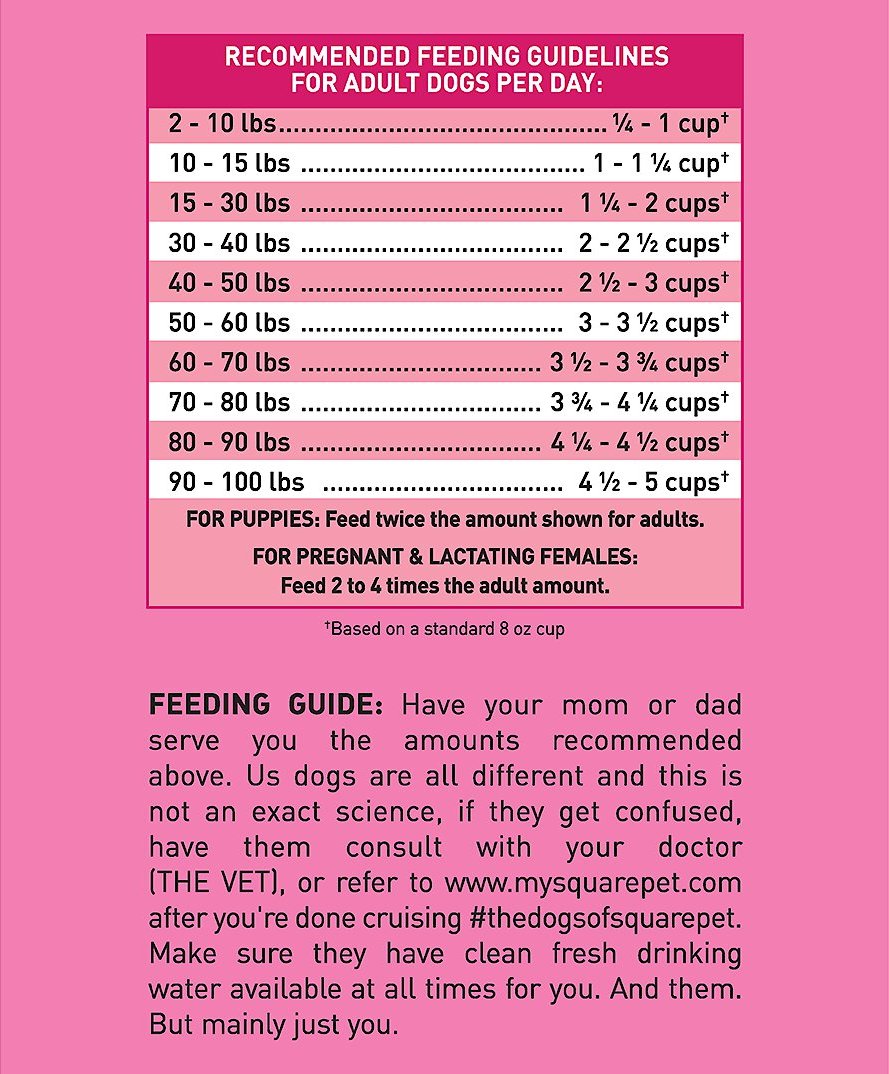 Square Pet VFS Ideal Digestion Dry Dog Food