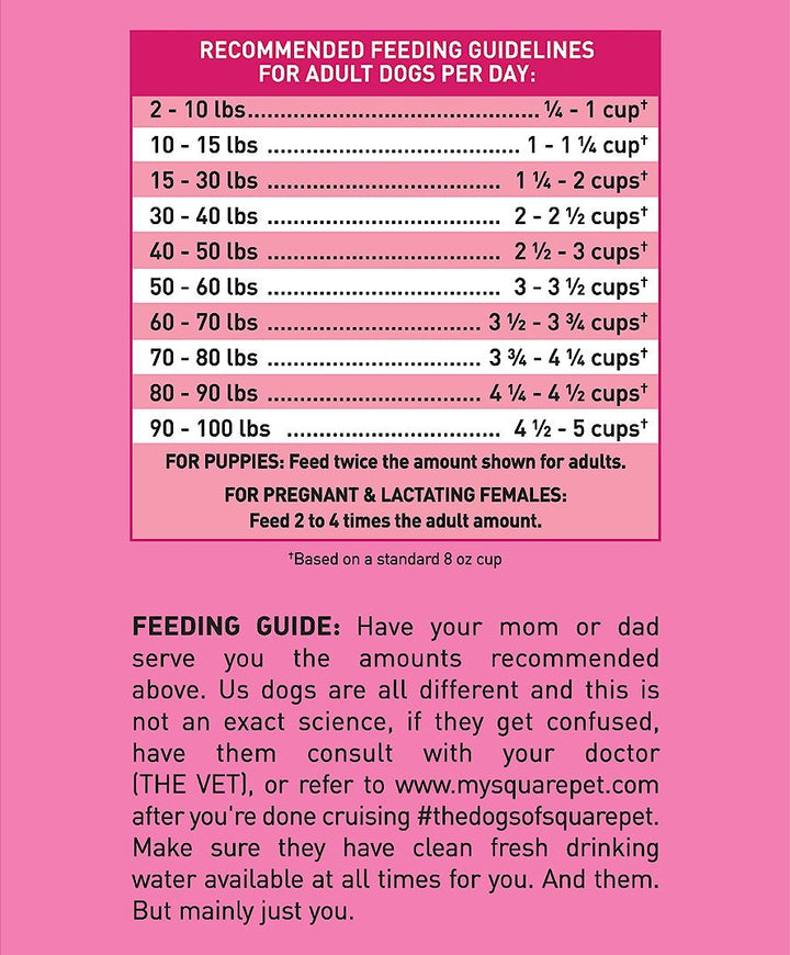 Square Pet VFS Ideal Digestion Dry Dog Food