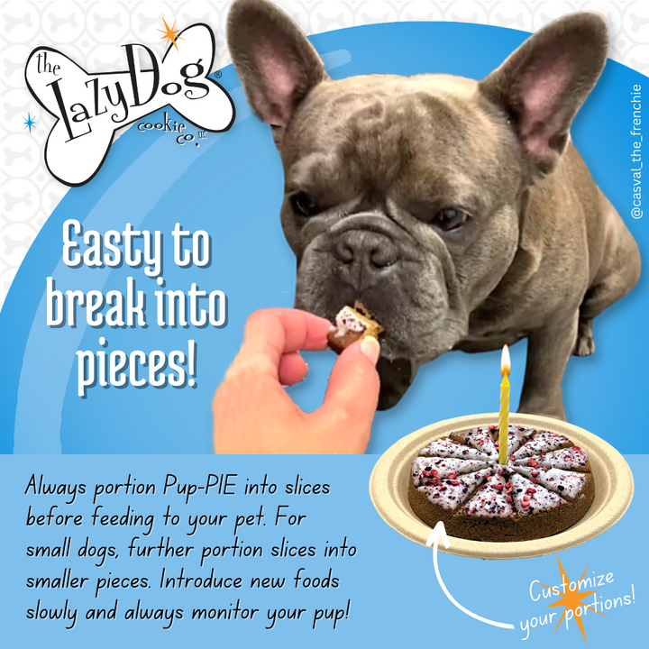 Pup-PIE Happy Birthday Pie for a Charming Boy