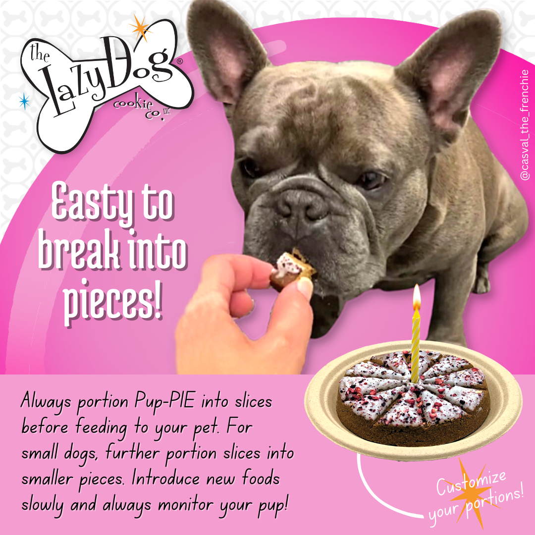 Pup-PIE Happy Birthday Pie for a Darling Girl