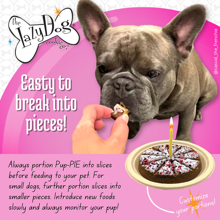 Pup-PIE Happy Birthday Pie for a Darling Girl