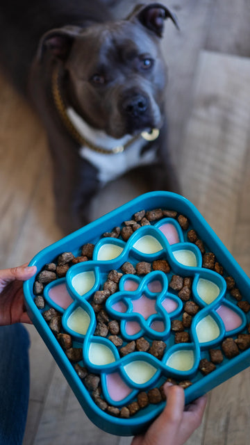 Messy Mutts Interactive Slow Feeder