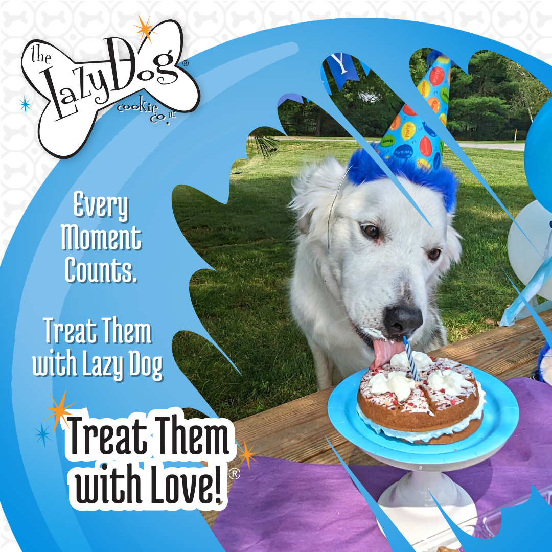 Pup-PIE Happy Birthday Pie for a Charming Boy