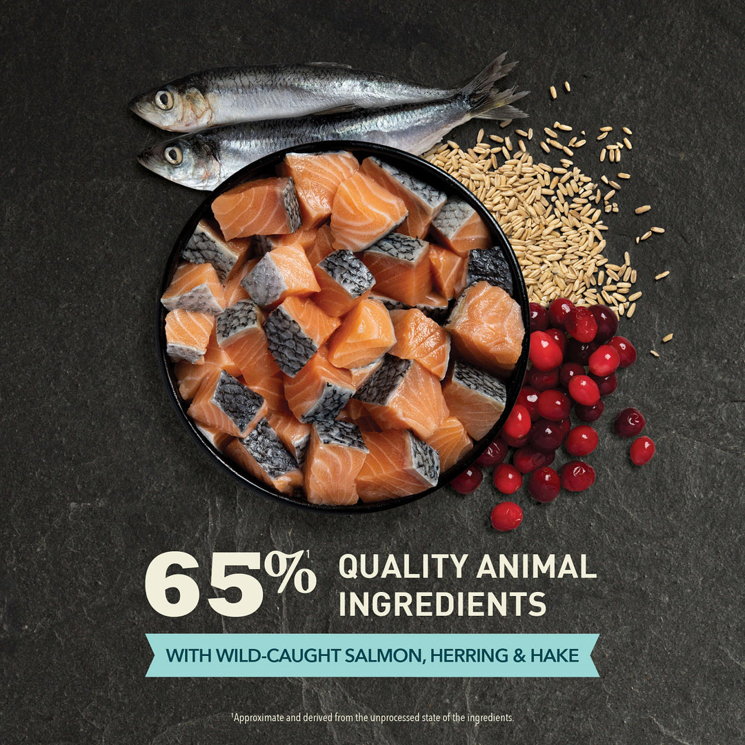 Acana Bountiful Catch Adult Cat Food