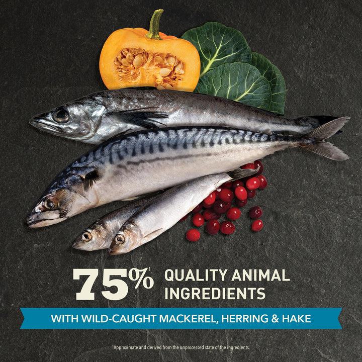 Acana Pacifica Cat Food