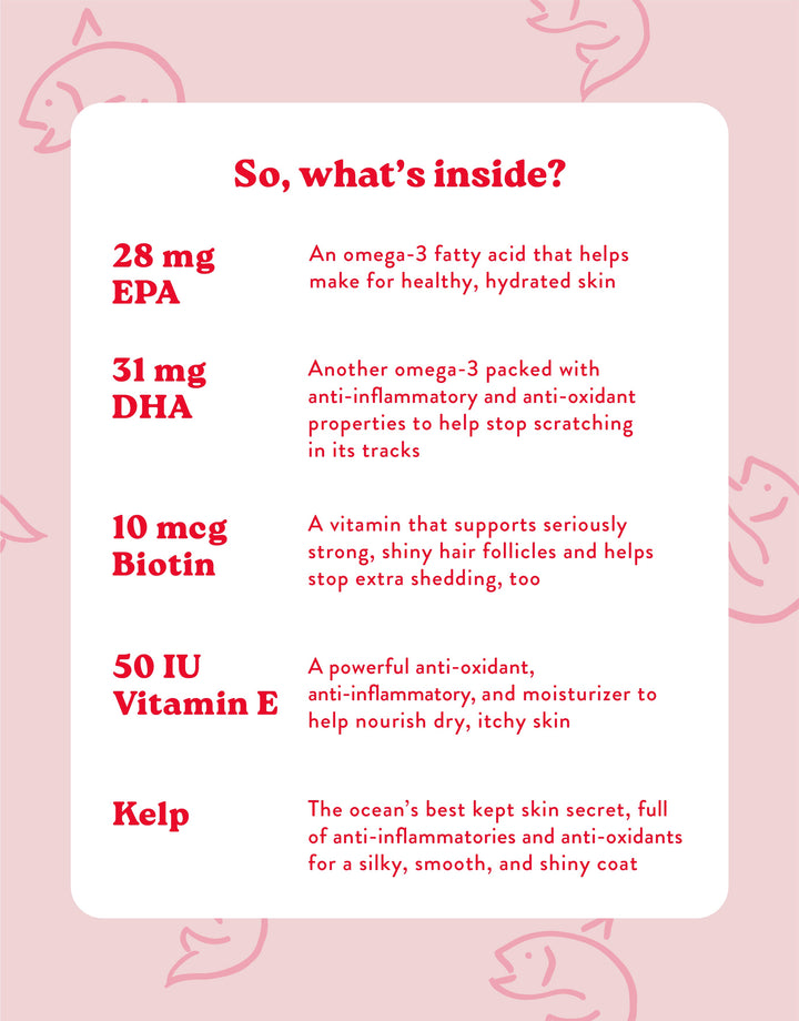 Bocce's Bakery - Skin & Coat Supplement For Dogs