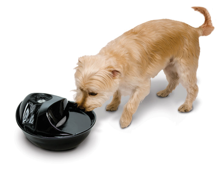 Pioneer Pet Raindrop Ceramic Water Fountain For Cats