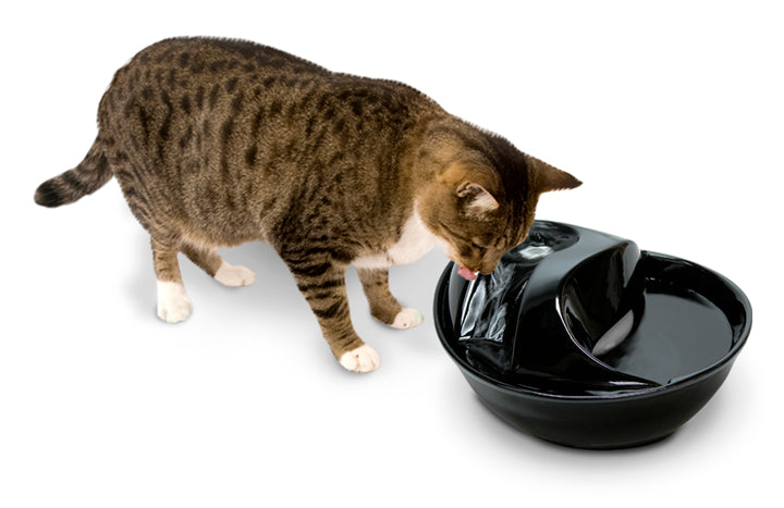 Pioneer Pet Raindrop Ceramic Water Fountain For Cats