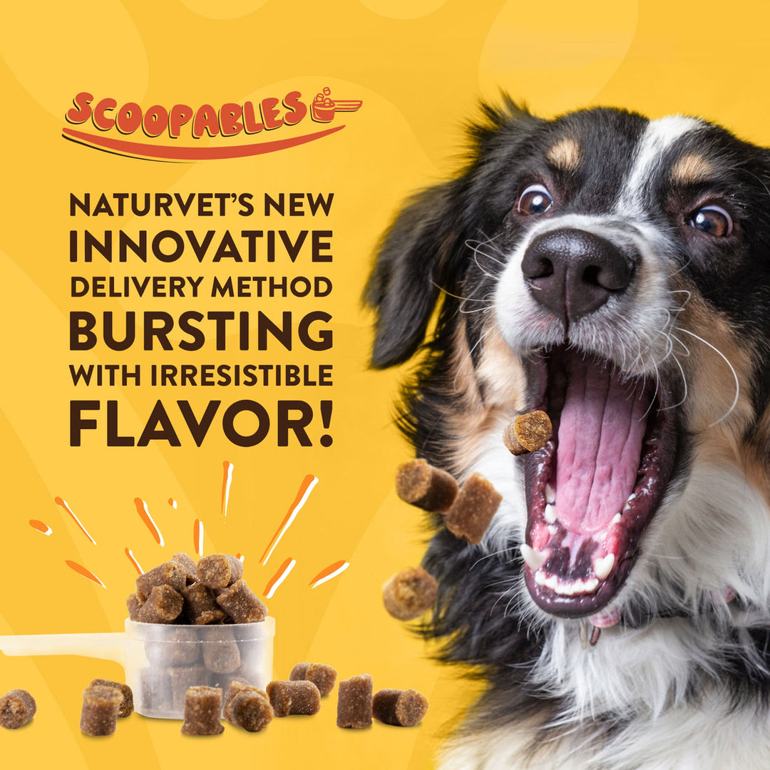NaturVet Scoopables Emotional Support Daily Calming Aid Supplement Soft Chews for Dogs - 45 Scoops