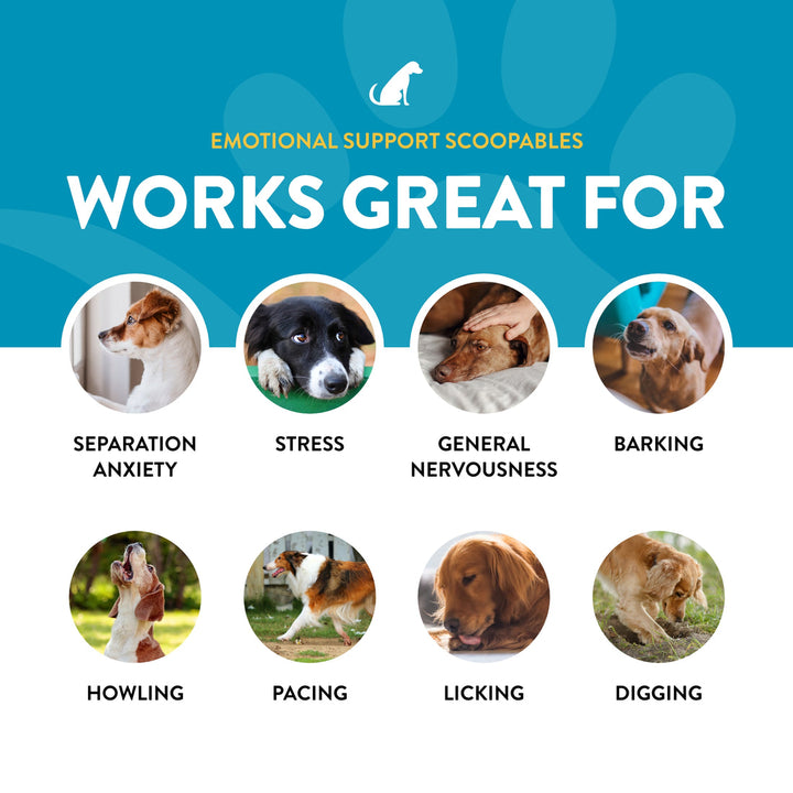 NaturVet Scoopables Emotional Support Daily Calming Aid Supplement Soft Chews for Dogs - 45 Scoops
