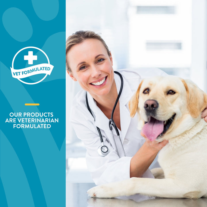 NaturVet Scoopables Emotional Support Daily Calming Aid Supplement Soft Chews for Dogs - 45 Scoops