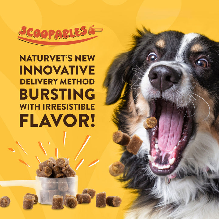 NaturVet Scoopables No Scoot Anal Gland Support Supplement Soft Chews for Dogs - 45 Scoops