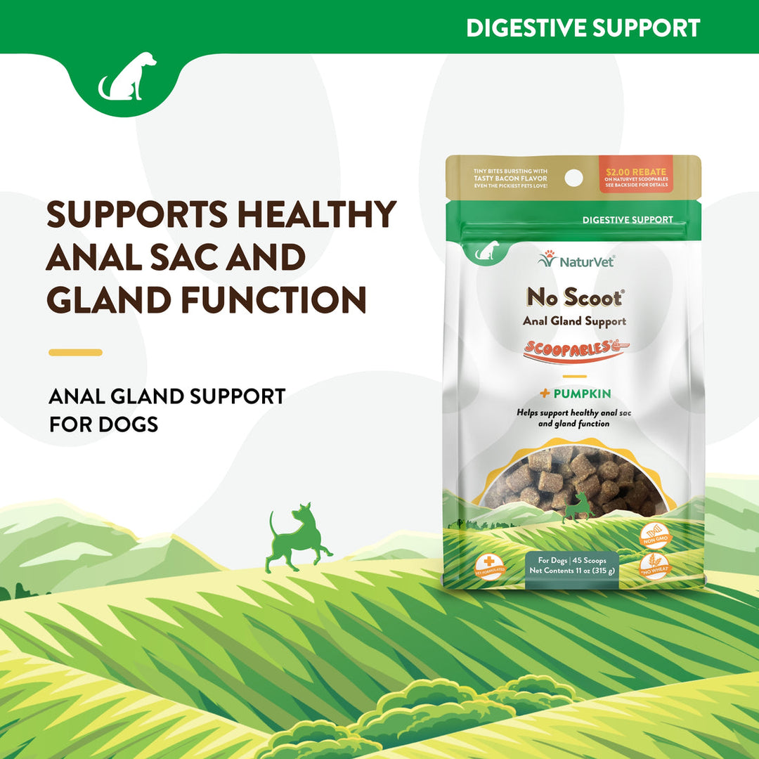 NaturVet Scoopables No Scoot Anal Gland Support Supplement Soft Chews for Dogs - 45 Scoops