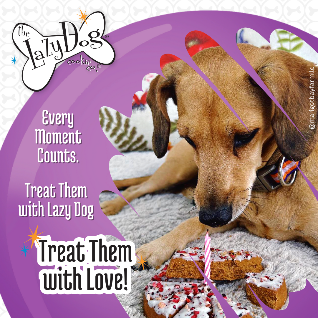 Pup-PIE Happy Birthday Pie for a Special Dog