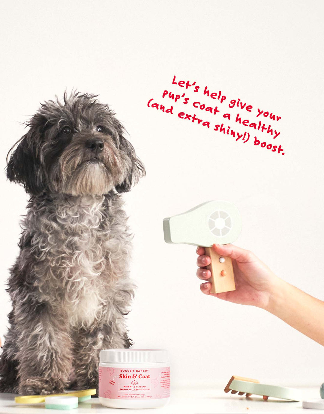 Bocce's Bakery - Skin & Coat Supplement For Dogs