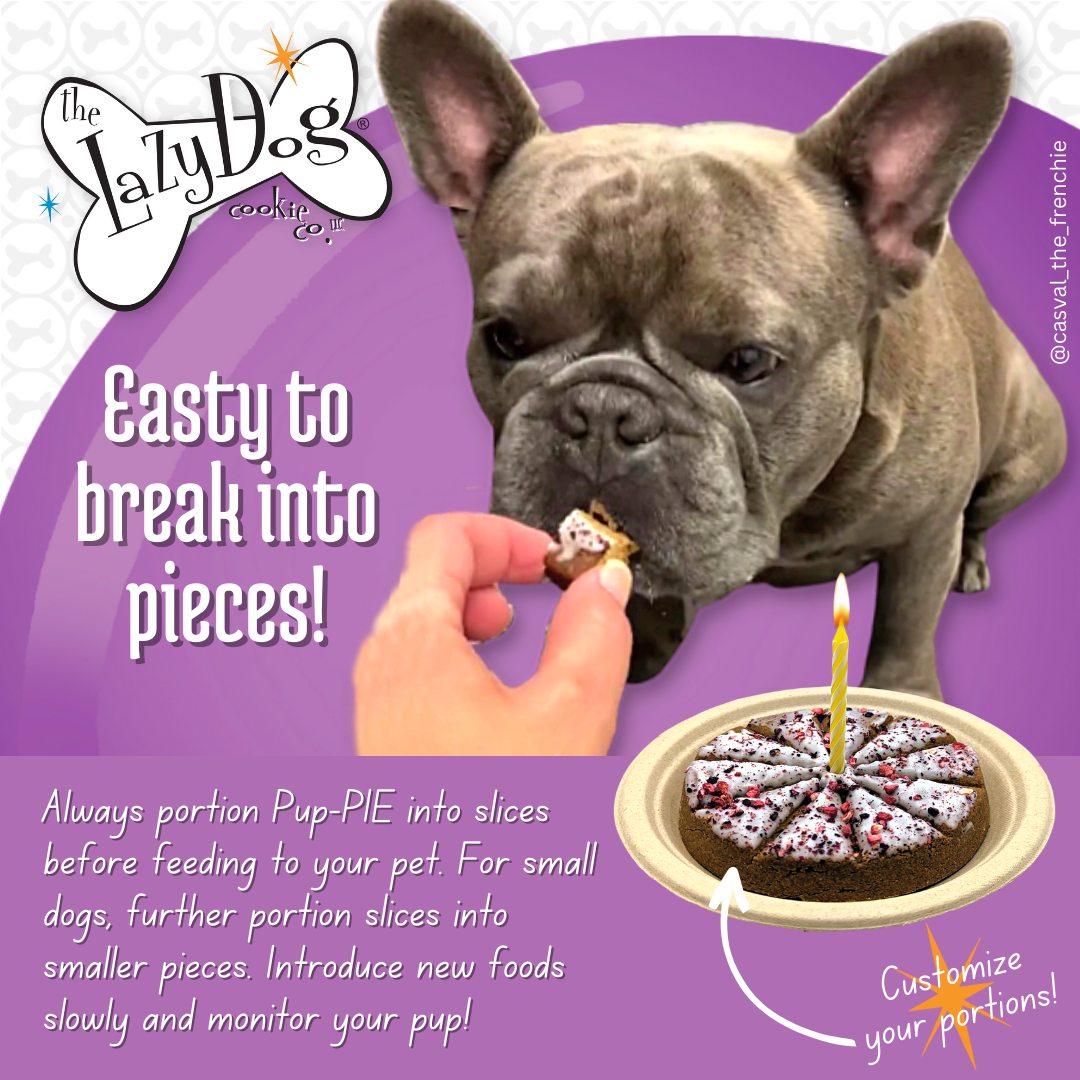 Pup-PIE Happy Birthday Pie for a Special Dog