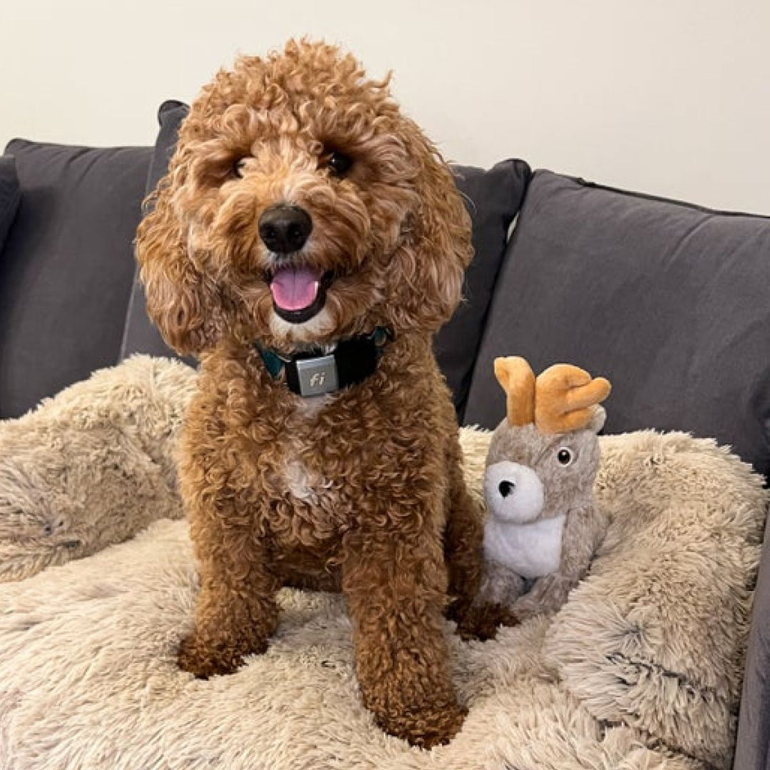 Tall Tails - Animated Plush Jackalope Dog Toy- 8"