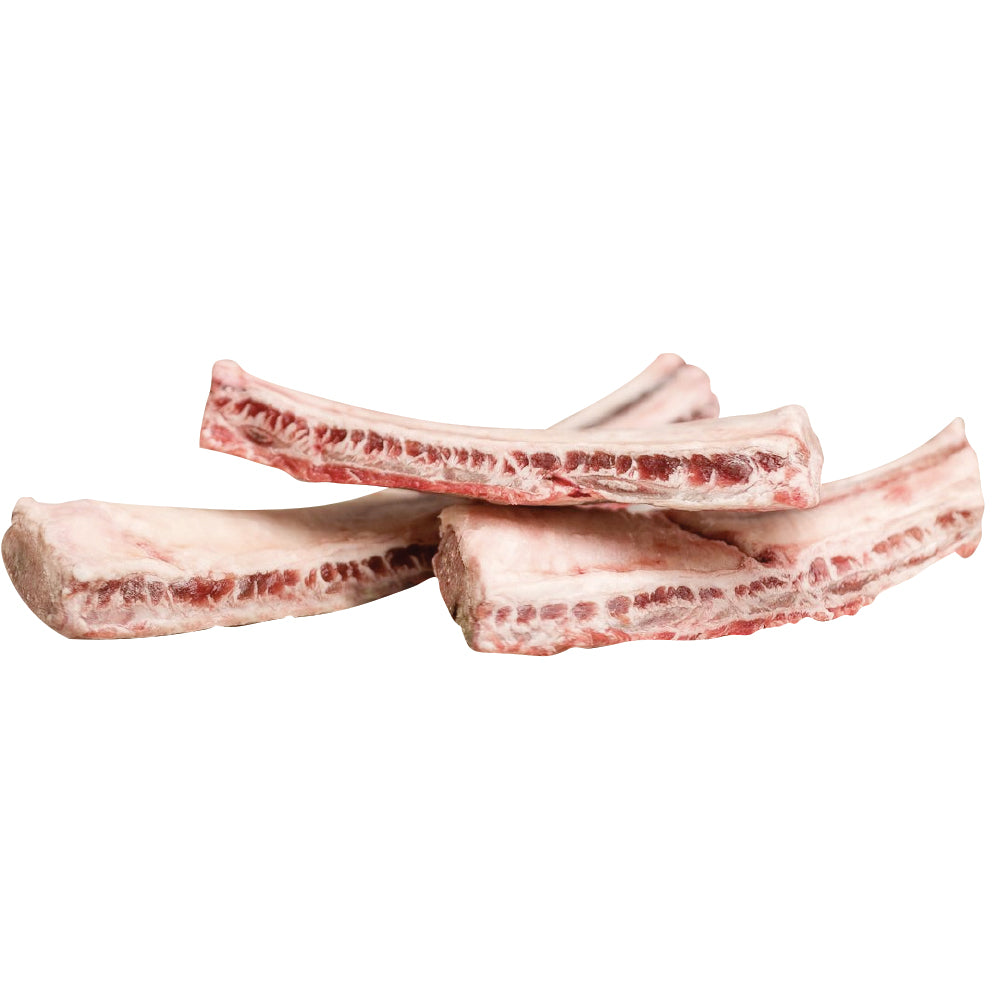 Big Country Raw Flat Rib Bone