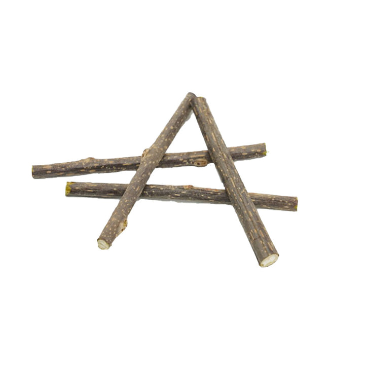 Define Planet Silver Vine Dental Sticks