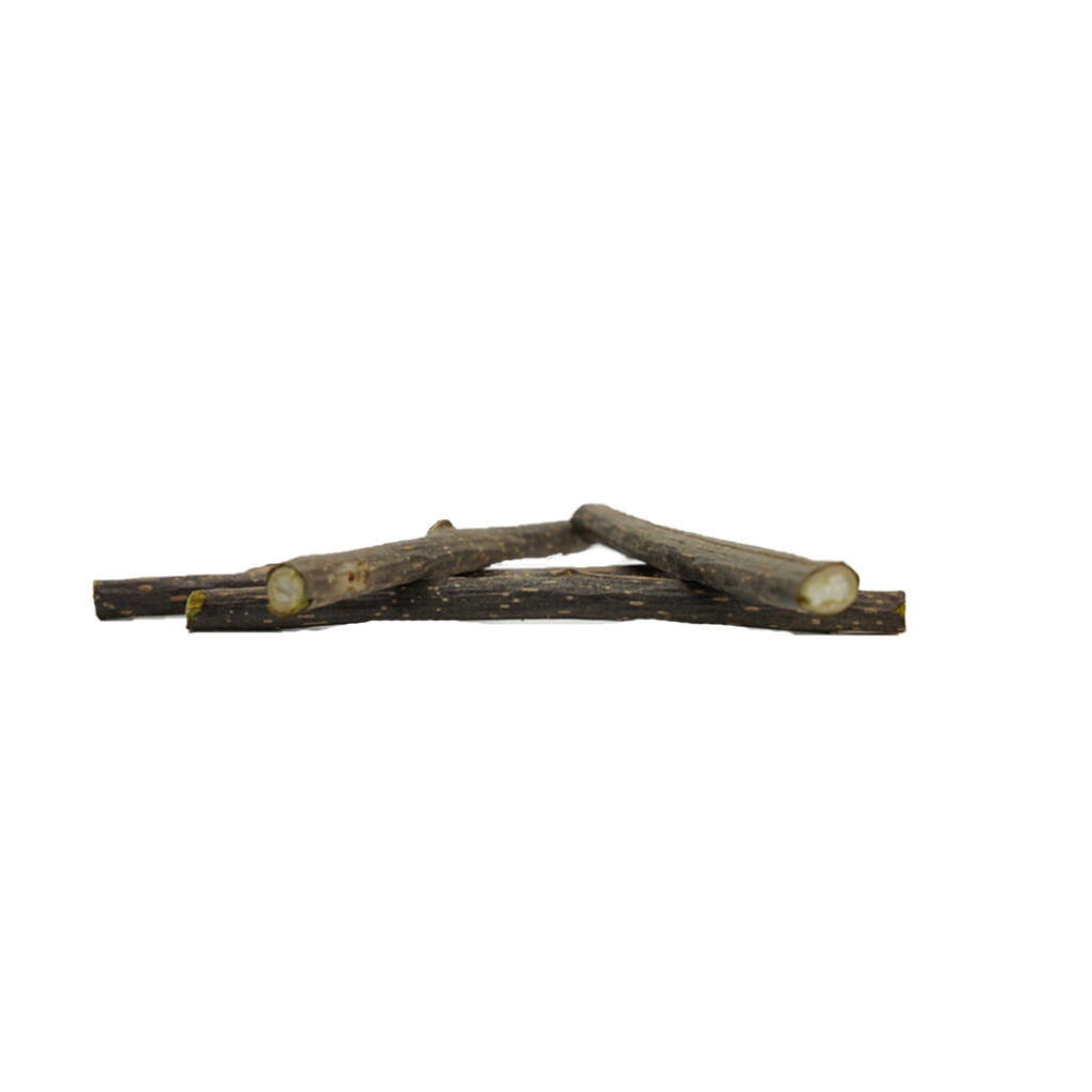 Define Planet Silver Vine Dental Sticks