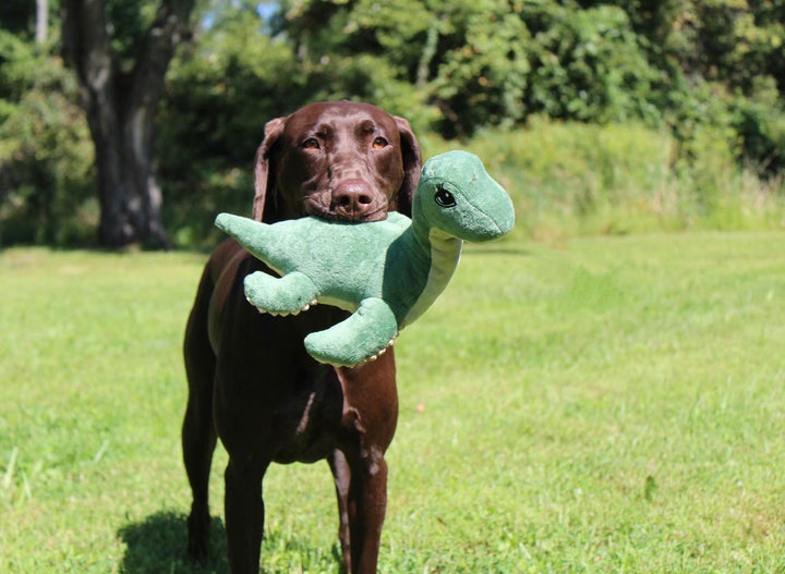 Tall Tails - Plush Nessie with Squeaker & Crinkle Dog Toy - 13"