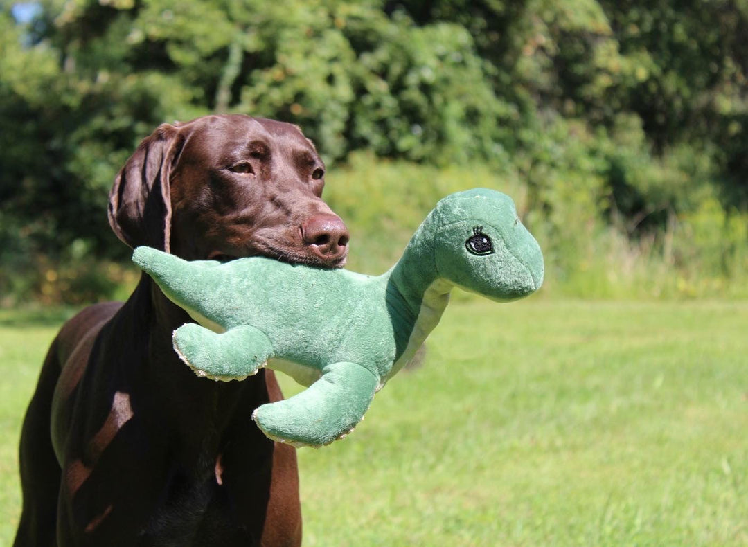 Tall Tails - Plush Nessie with Squeaker & Crinkle Dog Toy - 13"