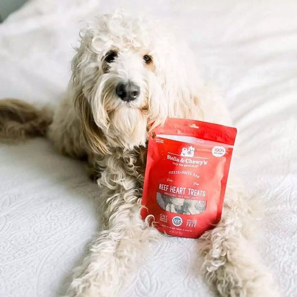 Stella & Chewy's Single Ingredient Beef Heart Dog Treats