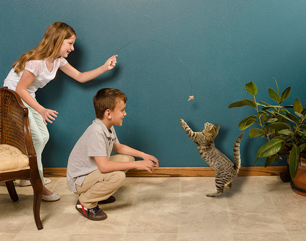 Cat Dancer - Interactive Cat Toy