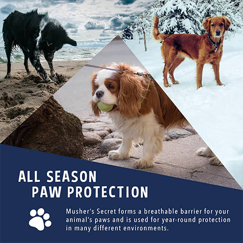 Musher's Secret Paw Protector