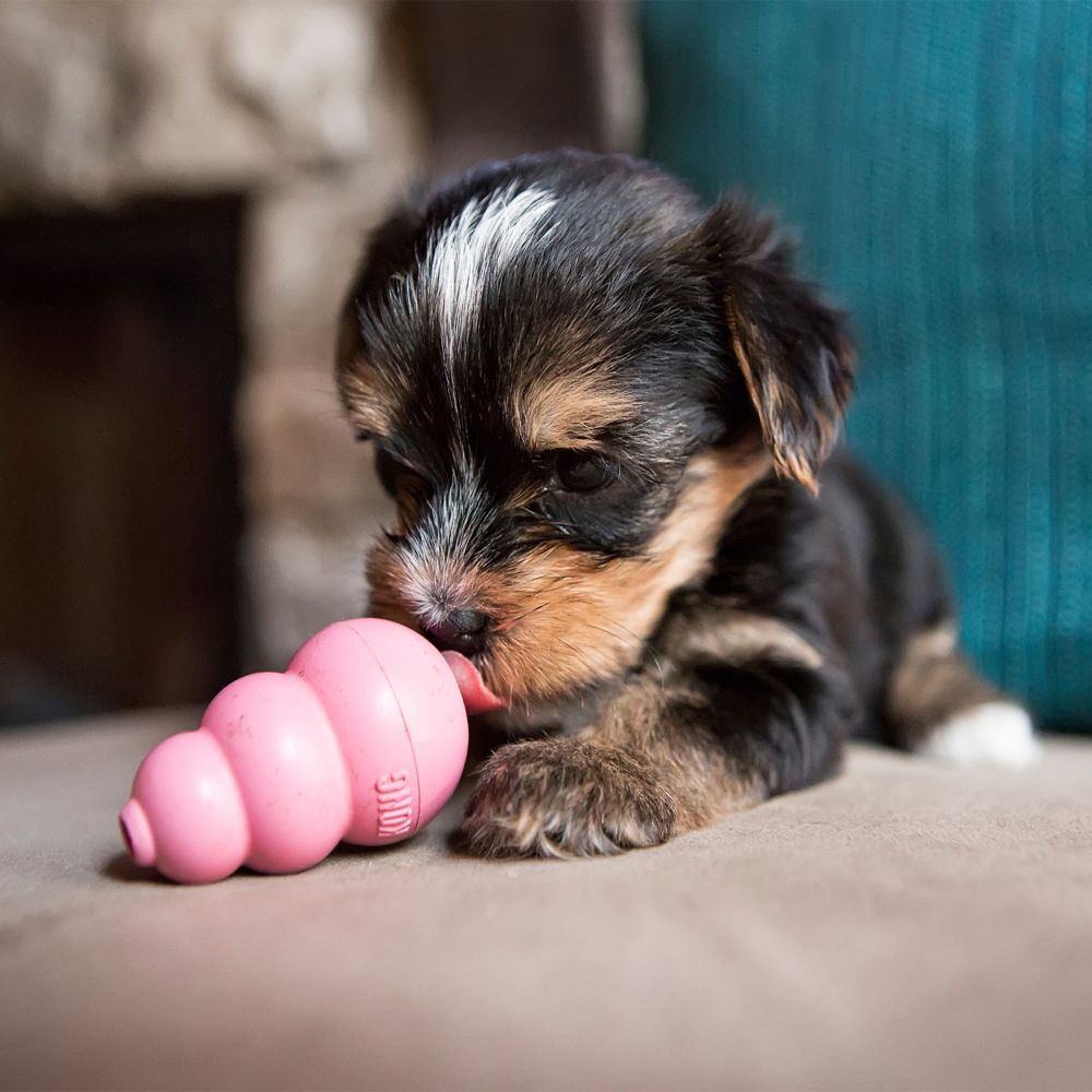 Kong Puppy Classic Dog Toy