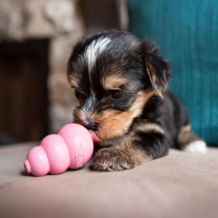 Kong Puppy Classic Dog Toy