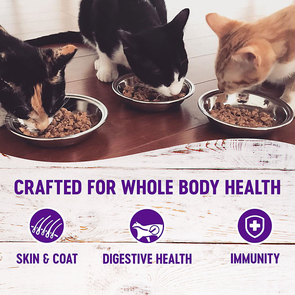 Wellness Complete Health Beef & Chicken Dinner Pate Wet Cat Food