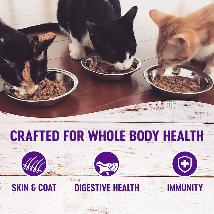 Wellness Complete Health Beef & Chicken Dinner Pate Wet Cat Food