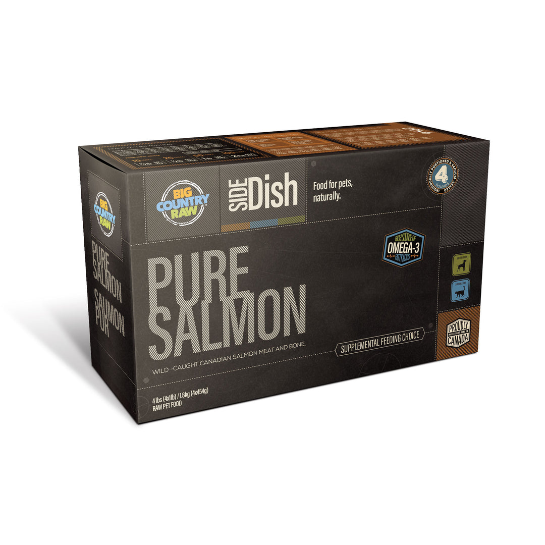 Big Country Raw Pure Salmon Carton - 4 Lb