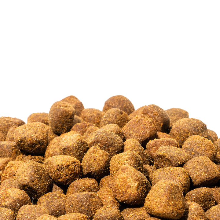 Dienon Large Breed Adult Dog Food