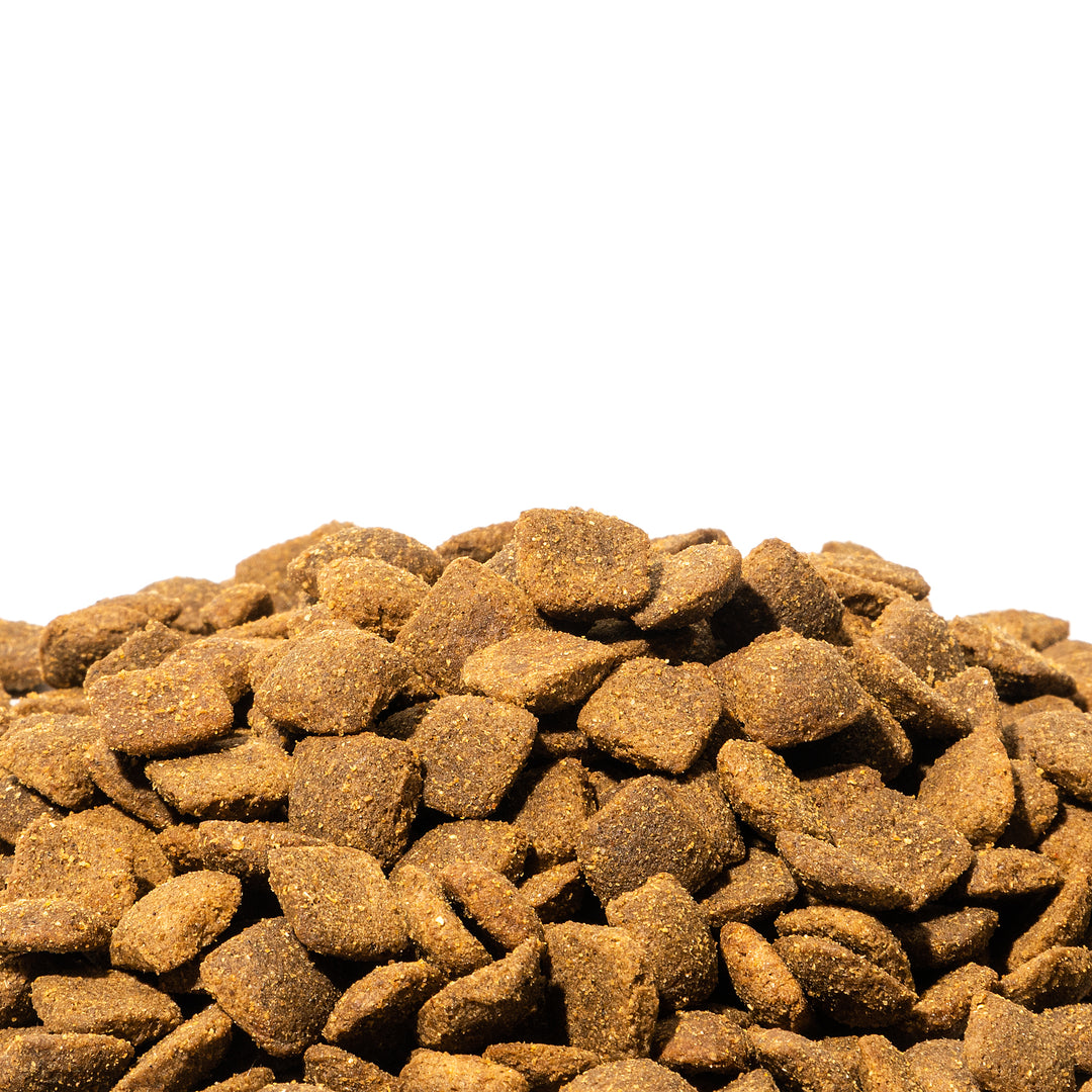 Dienon Puppies and Small Breed Adult Dog Food