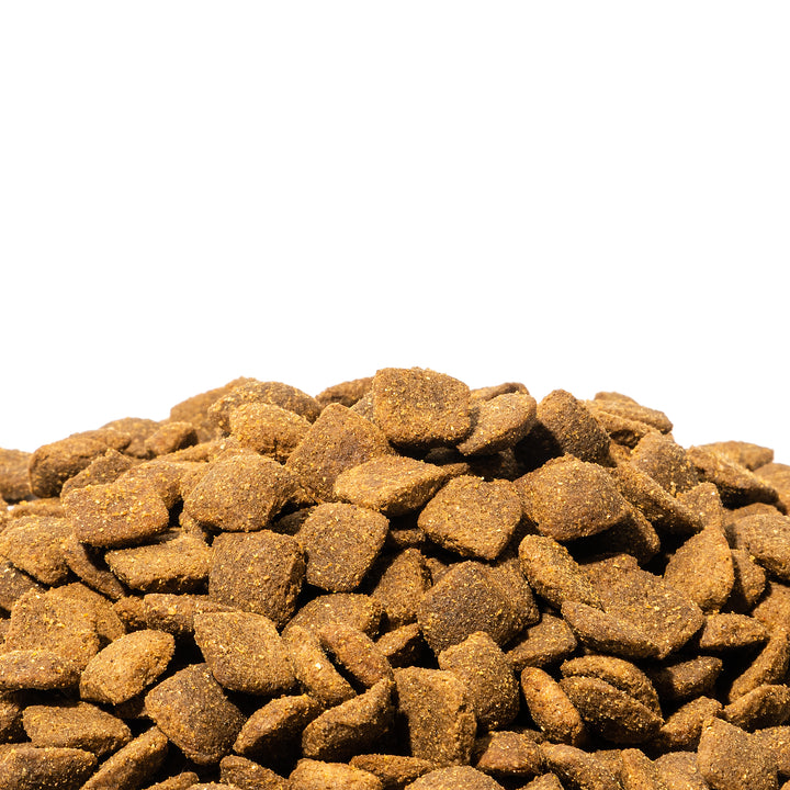 Dienon Puppies and Small Breed Adult Dog Food