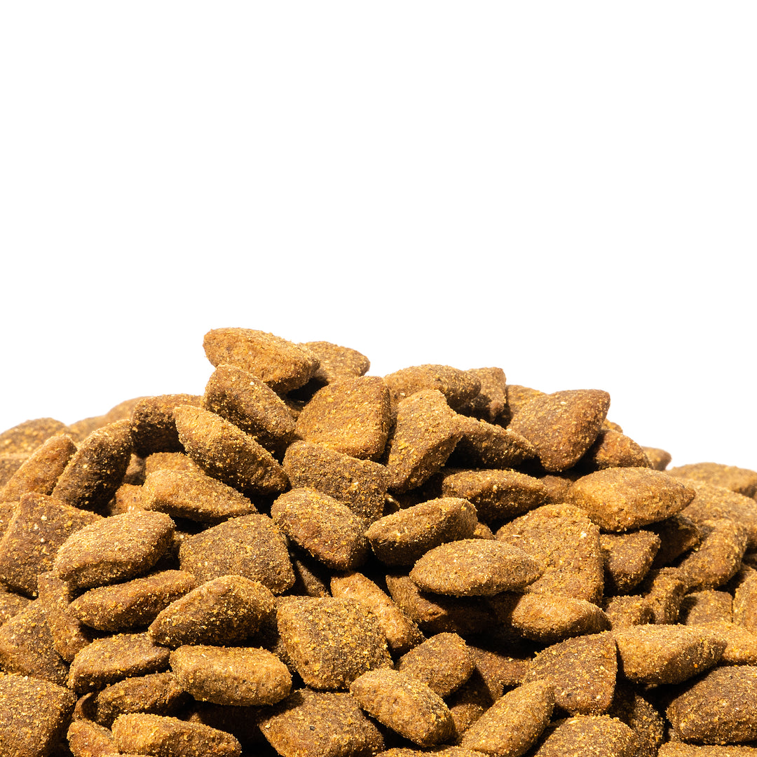 Dienon Medium Breed Adult Dog Food