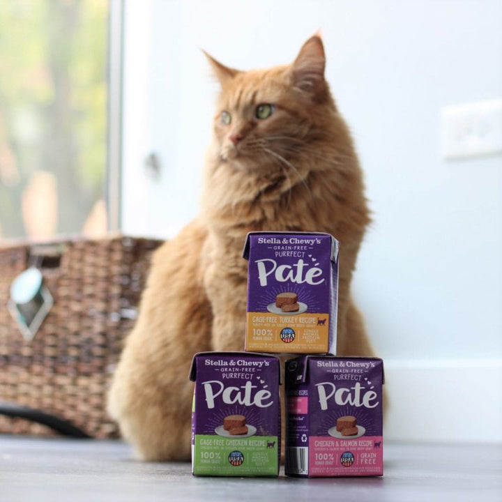 Stella and Chewy's Grain-Free Purrfect Pate Cage-Free Chicken Wet Cat Food