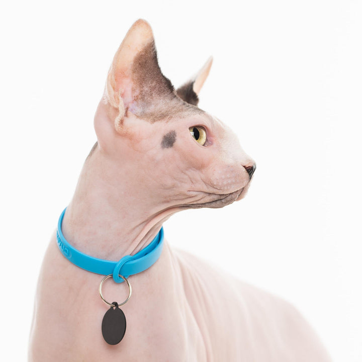 Nuvuq Comfortable Cat Collar