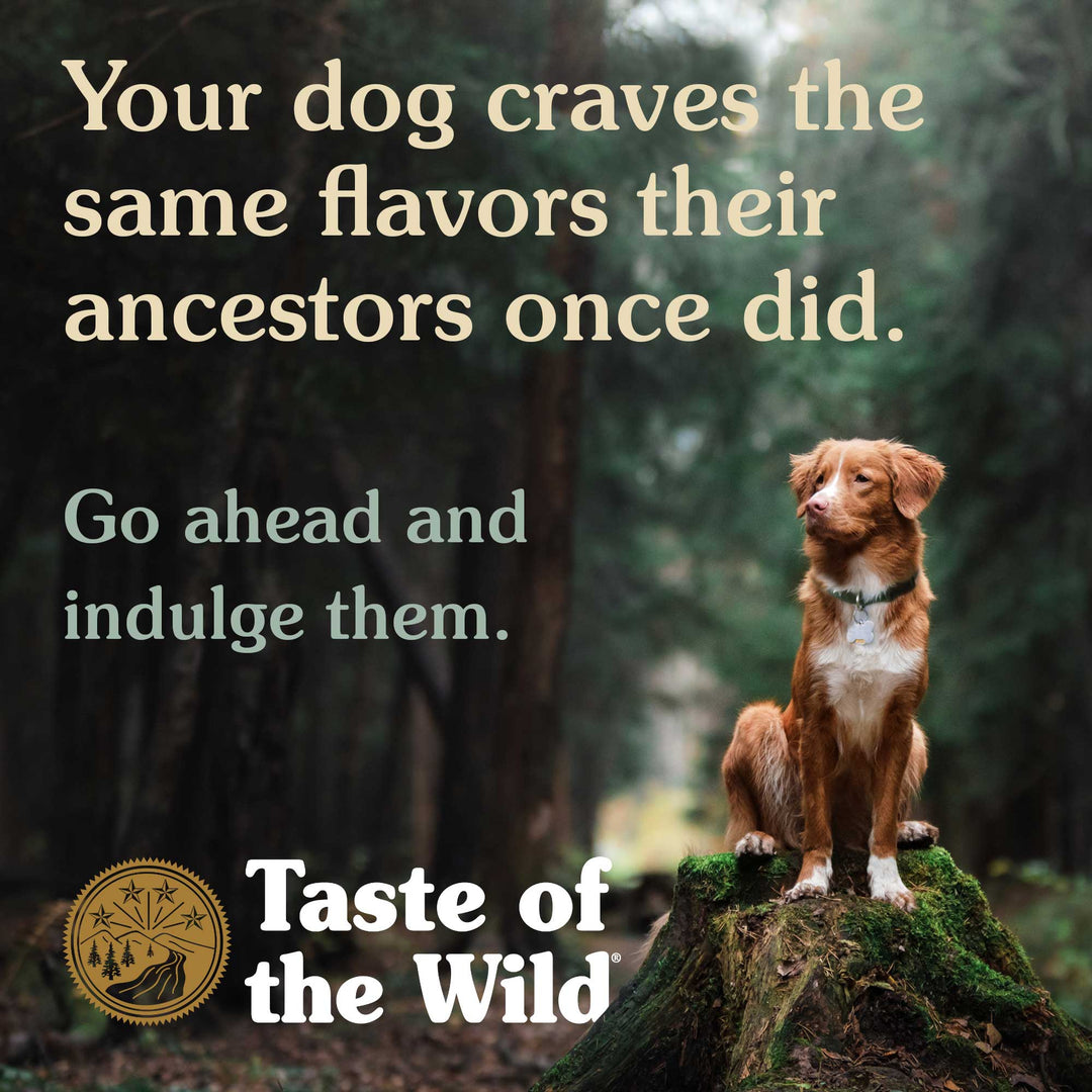 Taste of the Wild Southwest Canyon Wet Dog Food with with Beef in Gravy