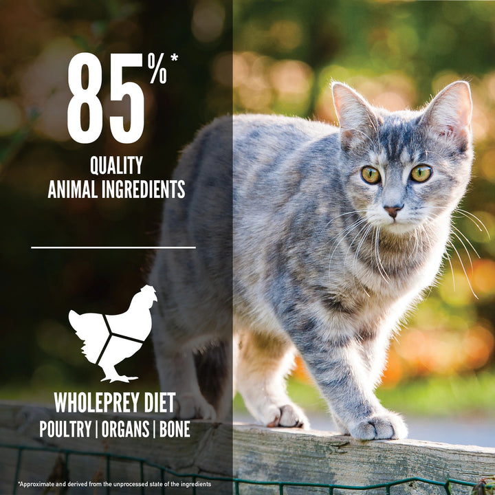 Orijen Original Cat Food