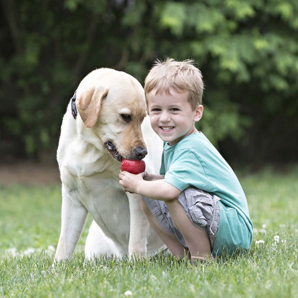Kong Classic Dog Toy