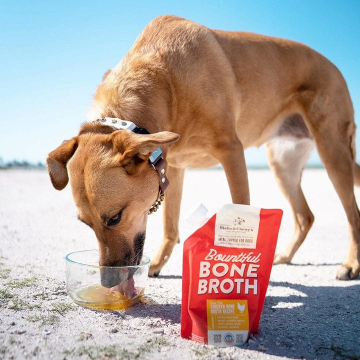 Stella & Chewy's Bountiful Bone Broth With Cage Free Chicken