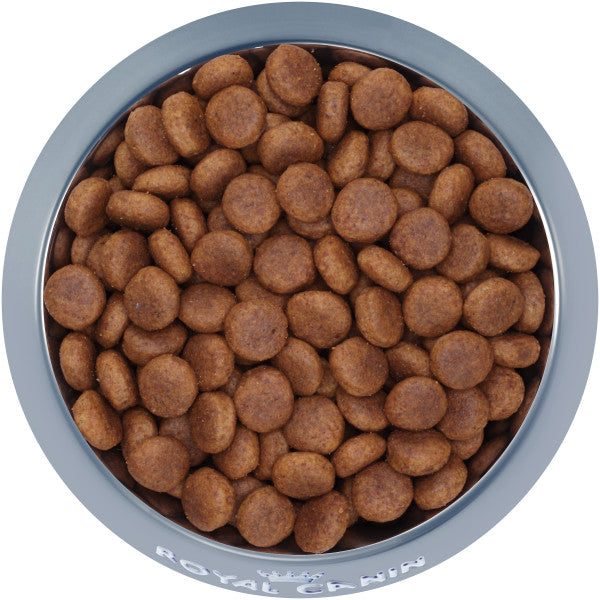 Royal Canin Large Adult Dog Food