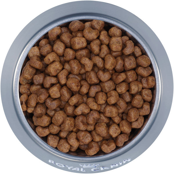 Royal Canin Shih Tzu Adult Dog Food