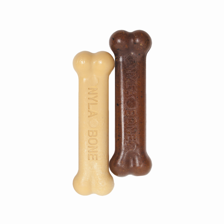 Nylabone Puppy Petite Twin Pack Puppy Chew Toy