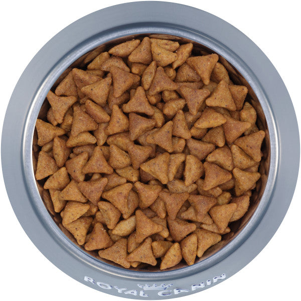 Royal Canin Indoor Adult Dry Cat Food