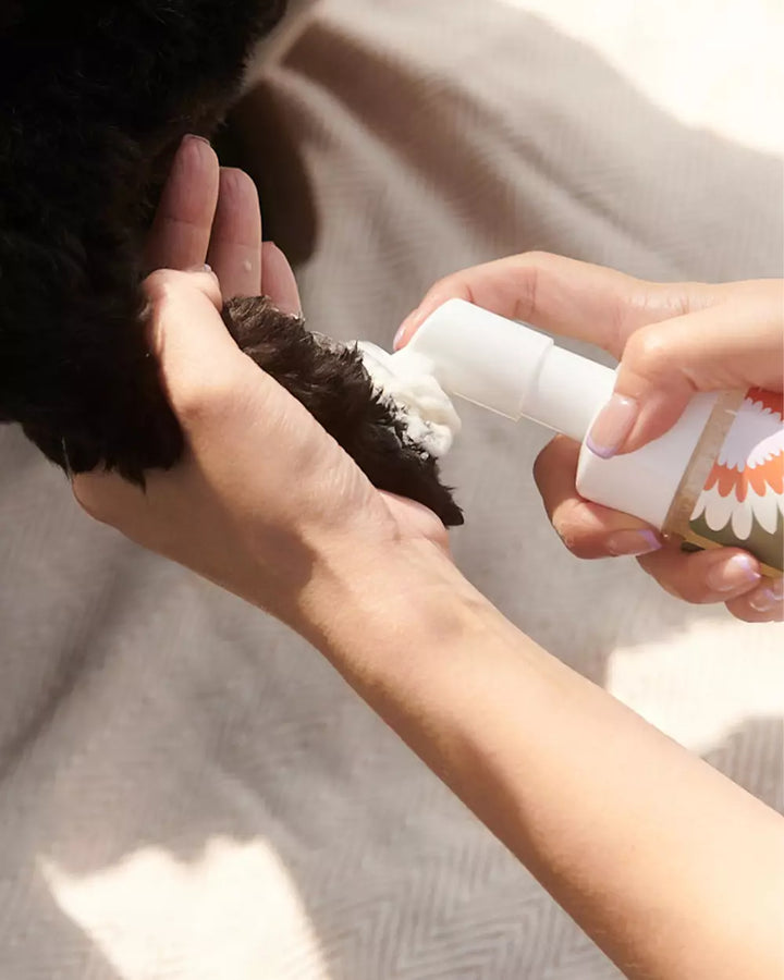 Dandylion Clean Paws No-Rinse Foaming Cleanser